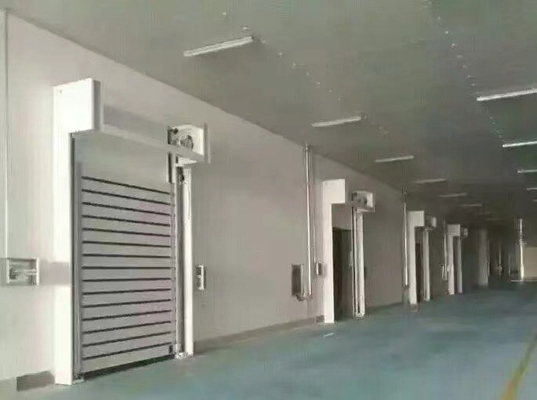 Pintu Garasi Keamanan Spiral dengan Ketebalan 40mm
