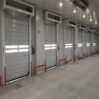 Disesuaikan TM-D04 Otomatis Roll Up Shutter Spiral Keamanan Garasi Pintu dengan Fitur
